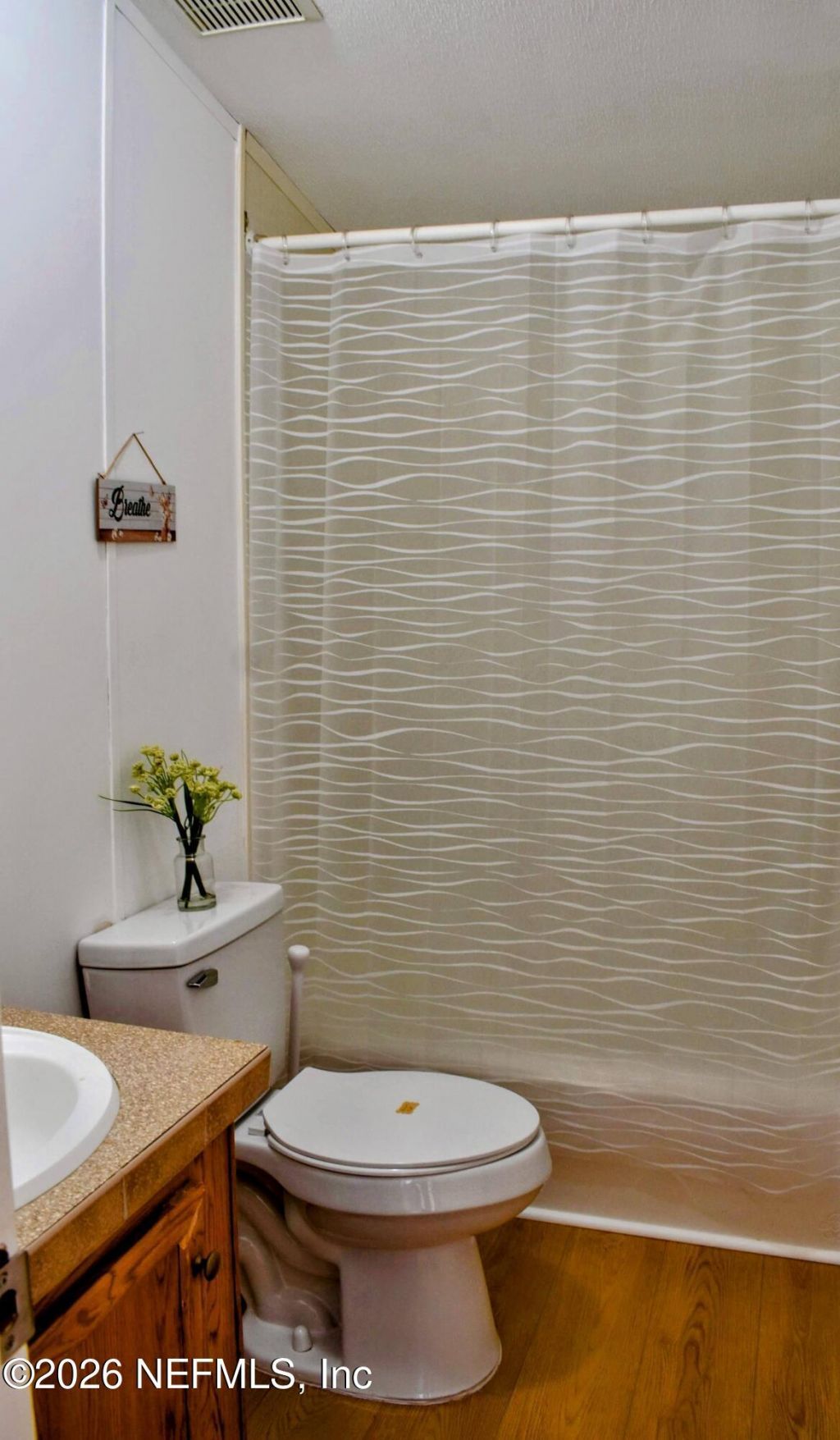 117 Lake View Avenue, Georgetown, FL 32139 Photo