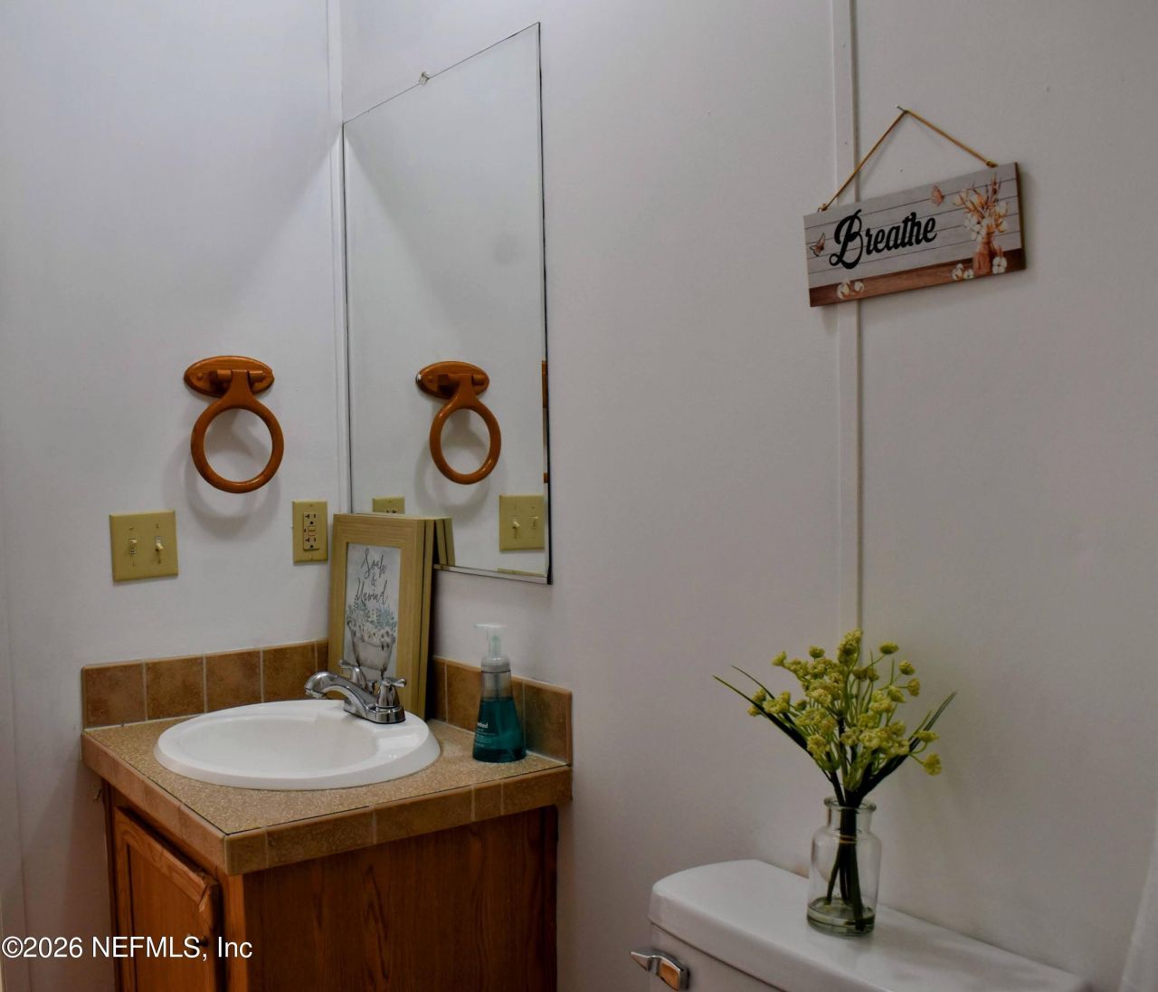 117 Lake View Avenue, Georgetown, FL 32139 Photo