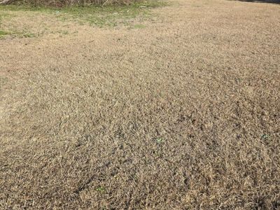 0 Bass Drive, Holly Hill, SC 29059