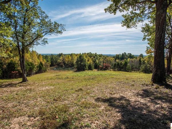 0 Lone Star Tower Road , Bonnieville, KY 42713