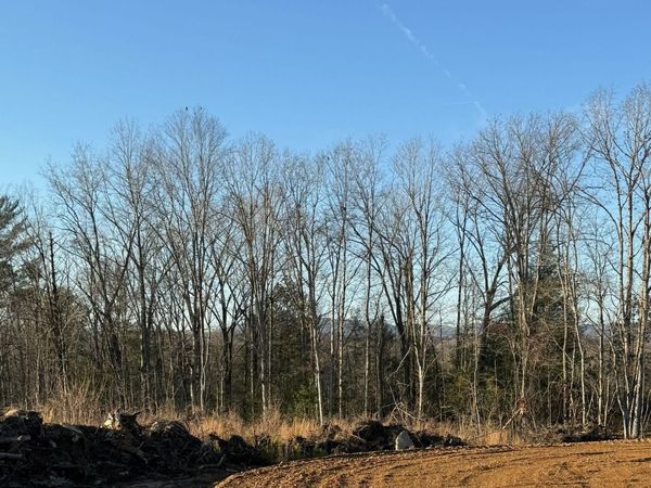 Possum Trot Rd. - Tract 14 , Grandview, TN 37337