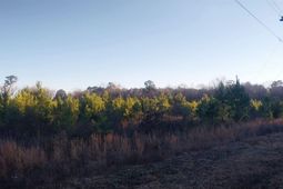 Lot 13 Mw Stroud Rd. photo 4