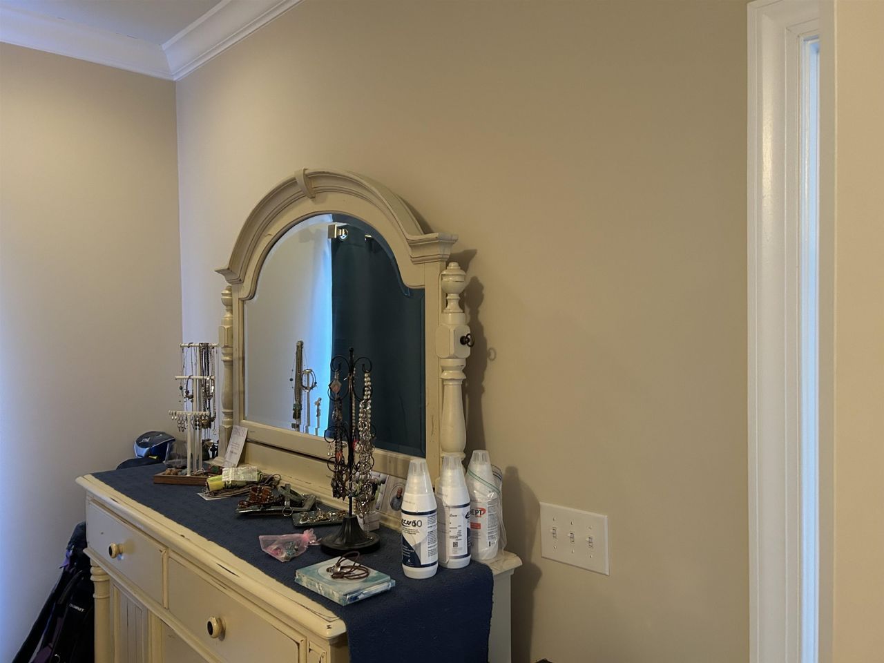 1107 Louise Costin Ln. Photo 12