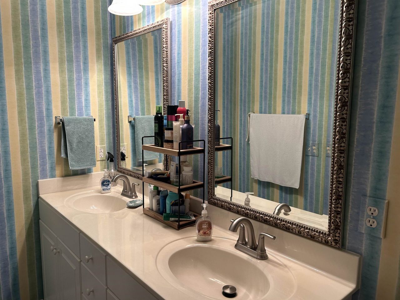 1107 Louise Costin Ln. Photo 15