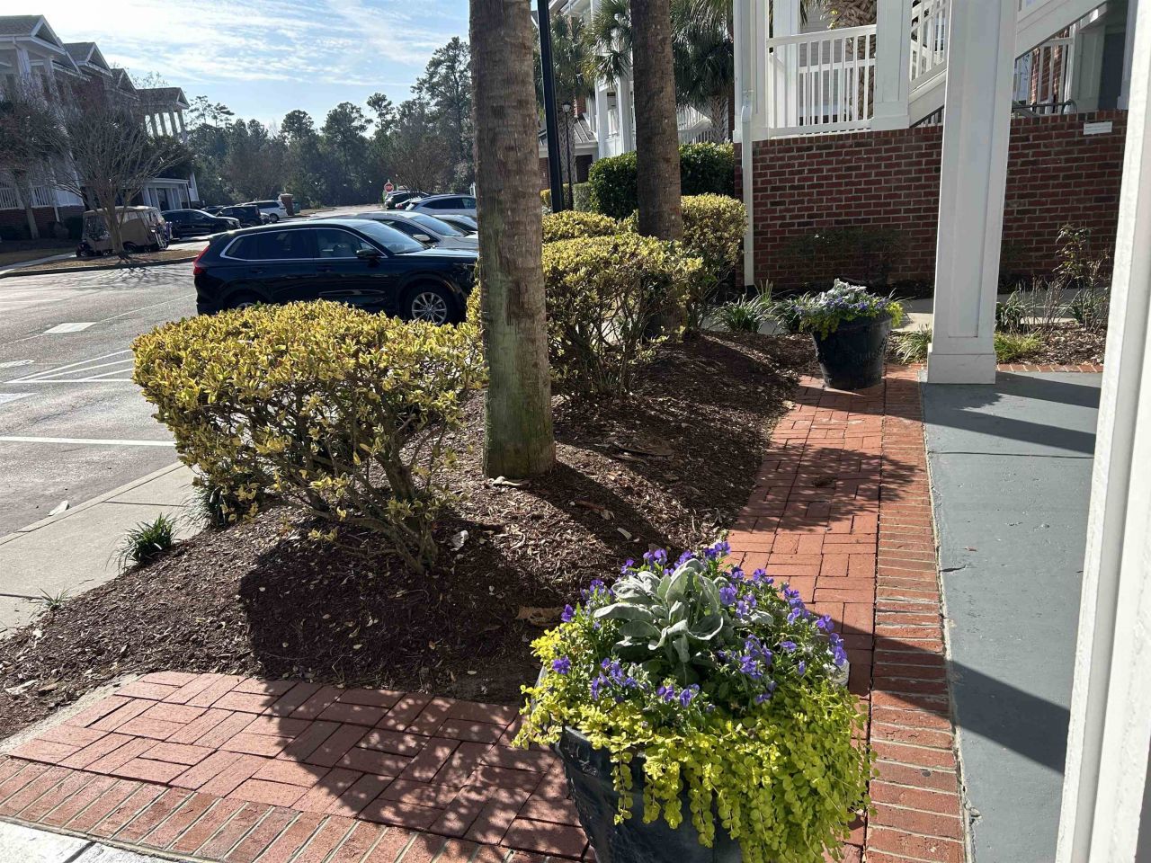 1107 Louise Costin Ln. Photo 25