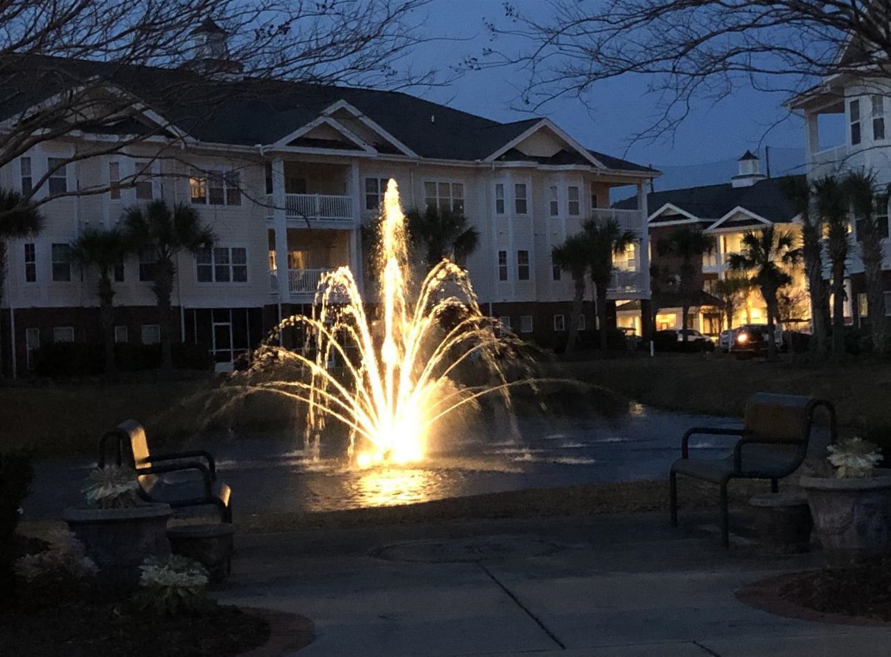 1107 Louise Costin Ln. Photo 35