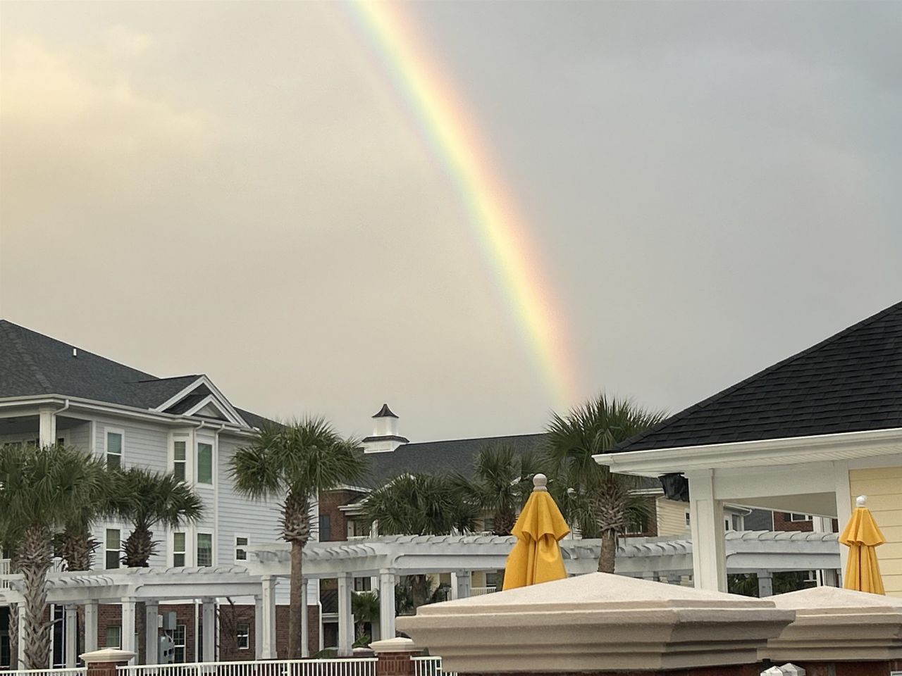 1107 Louise Costin Ln. Photo 38