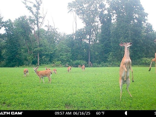 On Easement, Sparta, IL 62286