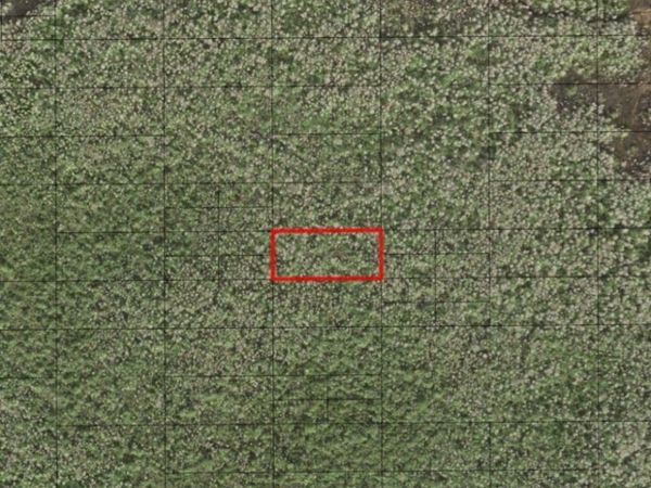 0 HOLOPAW GROVES RD, St. Cloud, FL 34772