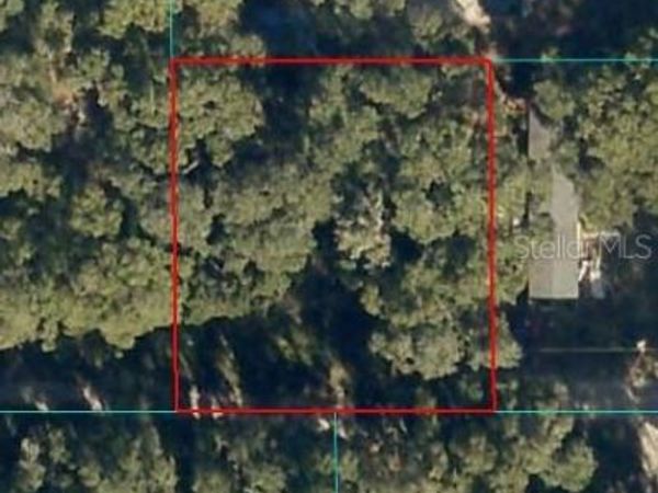 00 NE 160TH LANE, CITRA, FL 32113