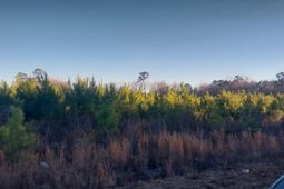 Lot 14 Mw Stroud Rd. photo 4