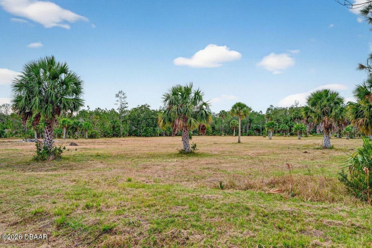 1700 Tomoka Farms Road, Port Orange, FL 32128 Photo