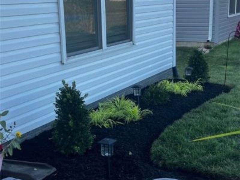 726 Cedar Crest Drive, Elyria, OH 44035 Photo 10