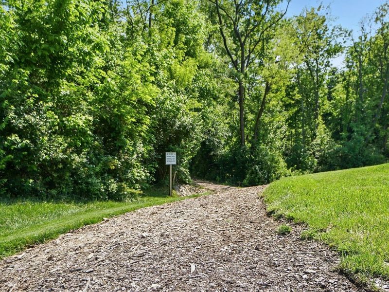 1745 Ledgestone Way, Hebron, KY 41048 Photo 20