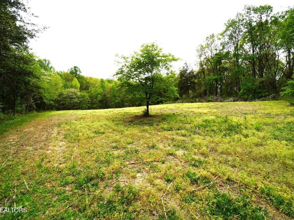 Tract 19 Pleasant View Cemetery Rd, New Market, TN 37820