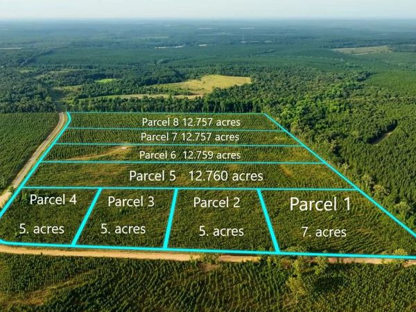 PARCEL 3 Whipporwill Road, Reynolds, GA 31076