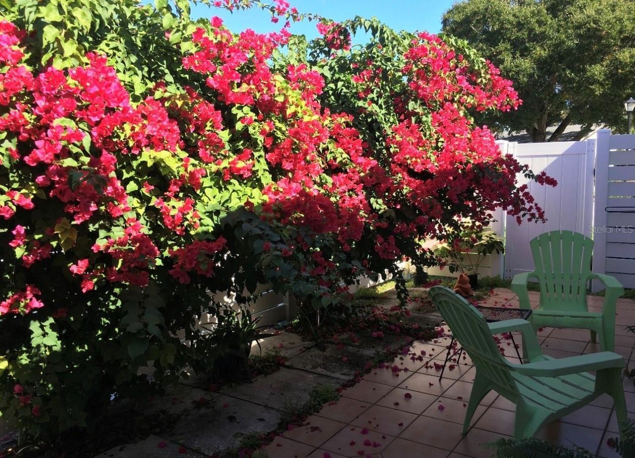 3146 37th Lane S, Unit A, Saint Petersburg, FL 33711 Photo