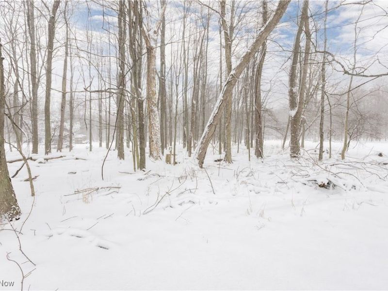 5679 Wilson Mills Road, Cleveland, OH 44143 Photo 46