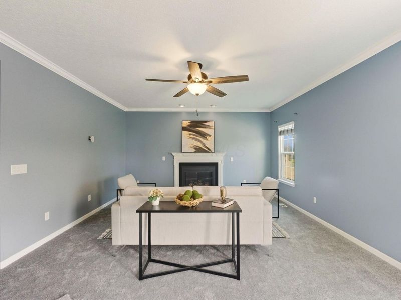 173 Old Colony Drive, Delaware, OH 43015 Photo 9