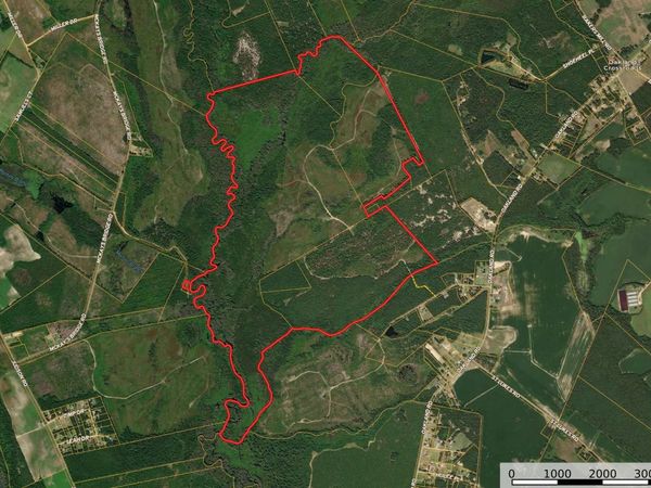 0 Gully Branch Rd., Dillon, SC 29536