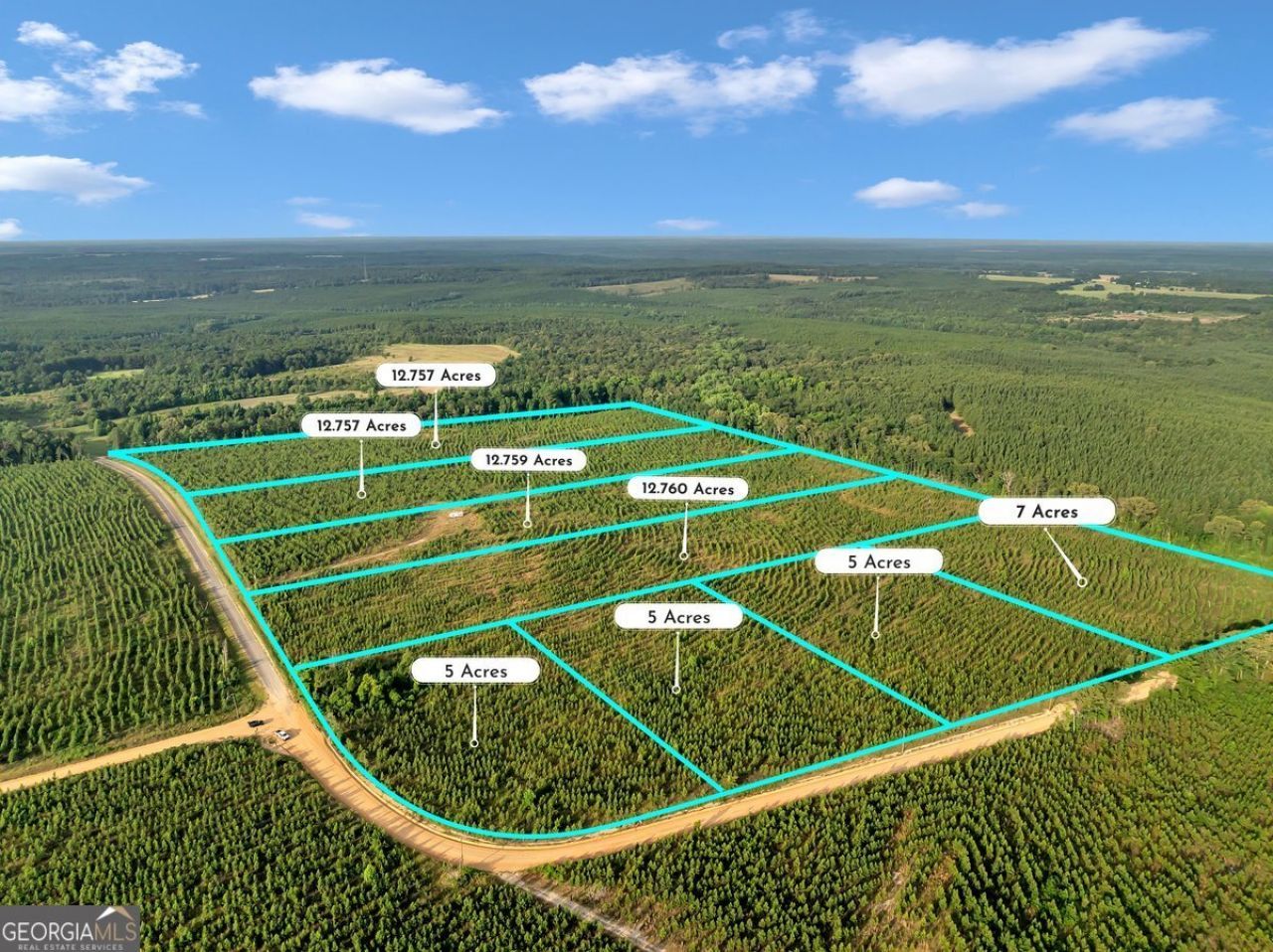 Parcel 5 Carl Rodgers Road, Reynolds, GA 31076 Main Photo