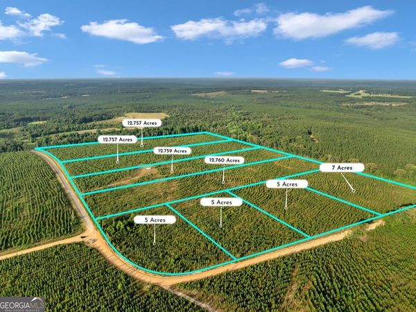 PARCEL 5 Carl Rodgers Road, Reynolds, GA 31076