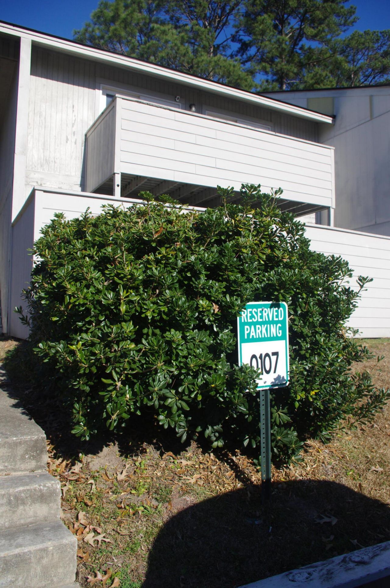 601 Greenmeadow Drive Photo 2