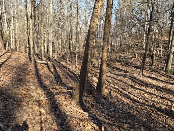 0 River Oaks Drive, Big Sandy, TN 38221