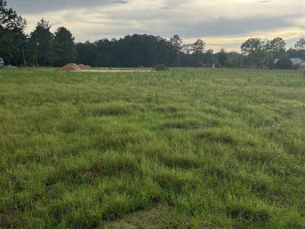 TBD Lexyryan Ct., Latta, SC 29565