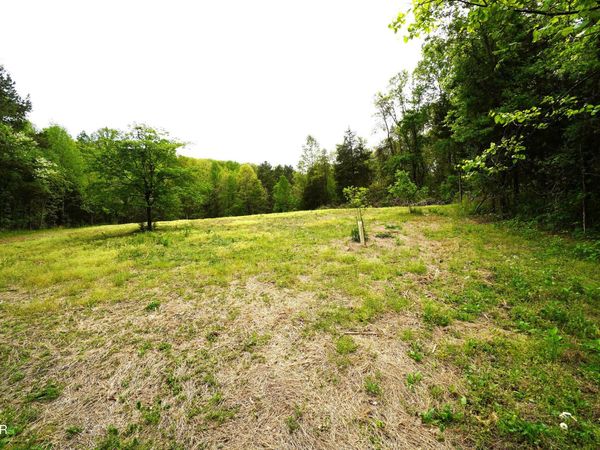 Tract 19 Pleasant View Cemetery Road, New Market, TN 37820