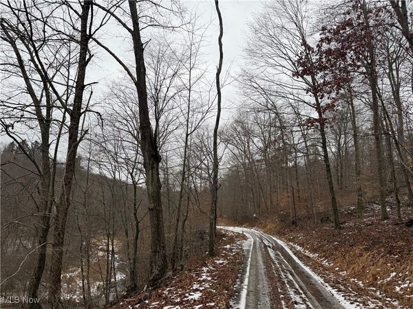 Greenbank Road, Lewisville, OH 43754