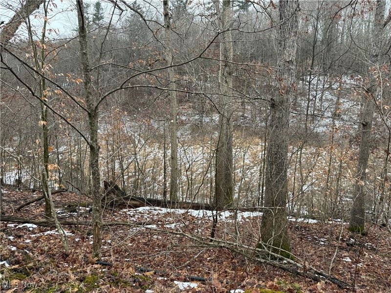 Greenbank Road, Lewisville, OH 43754 Photo 10