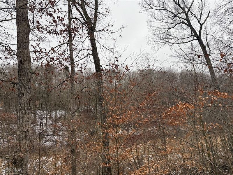 Greenbank Road, Lewisville, OH 43754 Photo 11