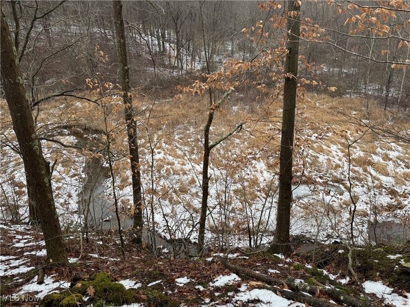 Greenbank Road, Lewisville, OH 43754 Photo 16