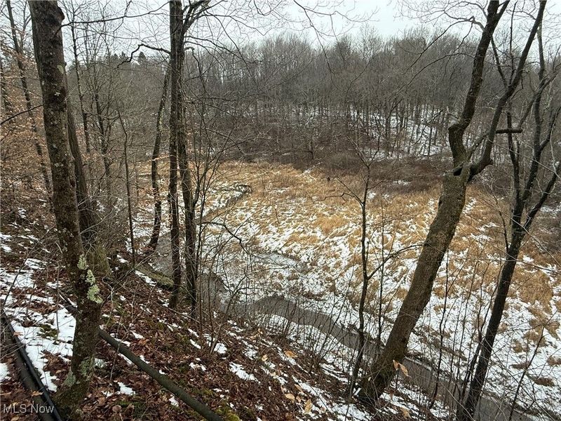 Greenbank Road, Lewisville, OH 43754 Photo 17