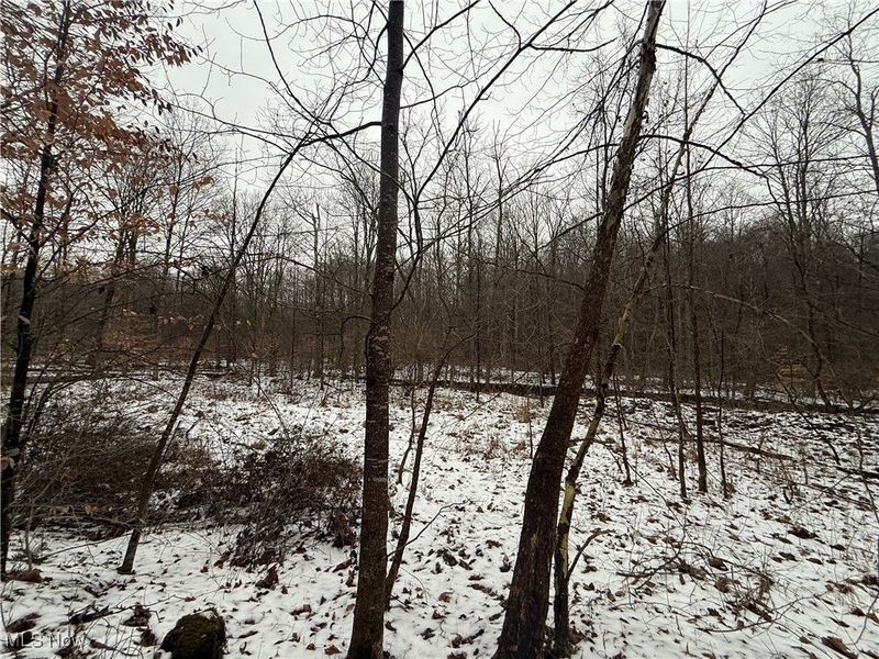 Greenbank Road, Lewisville, OH 43754 Photo 18