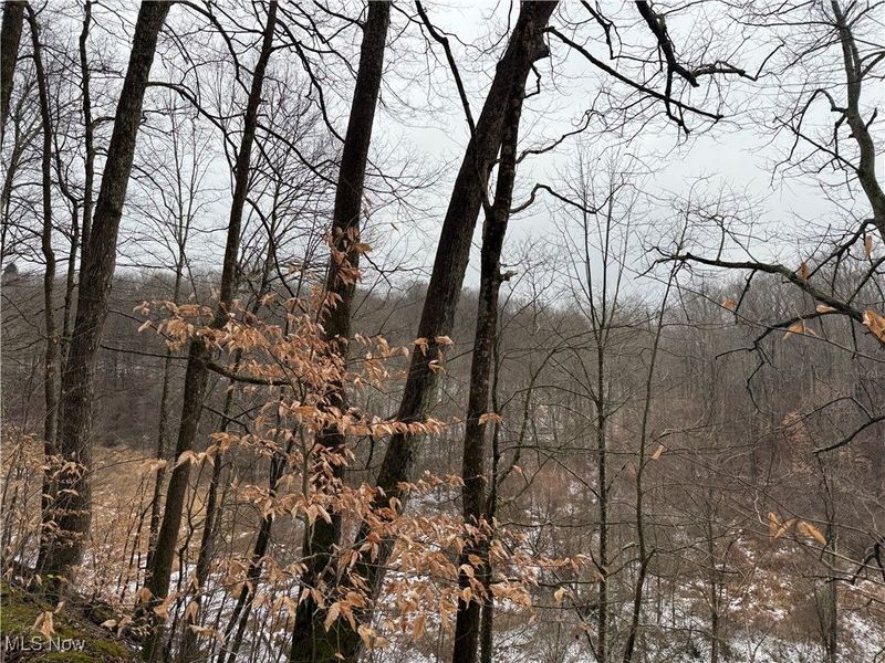 Greenbank Road, Lewisville, OH 43754 Photo 20