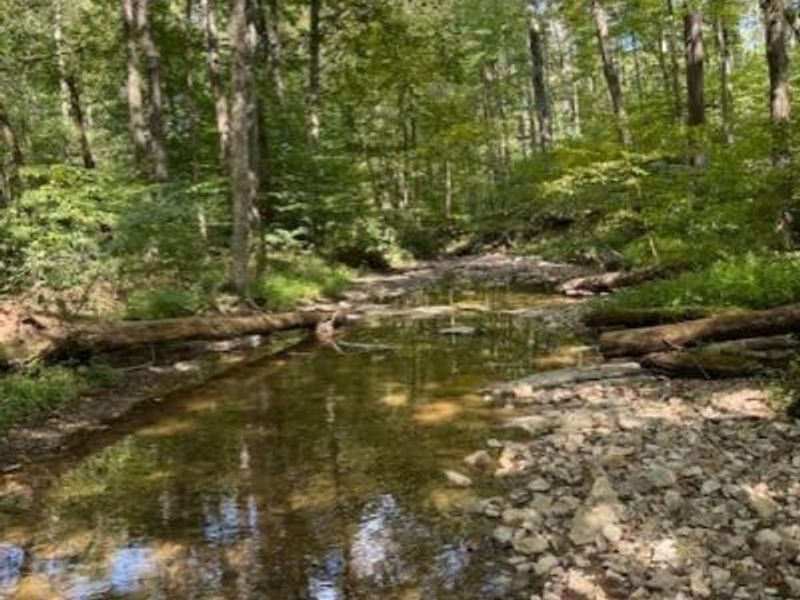 Greenbank Road, Lewisville, OH 43754 Photo 21