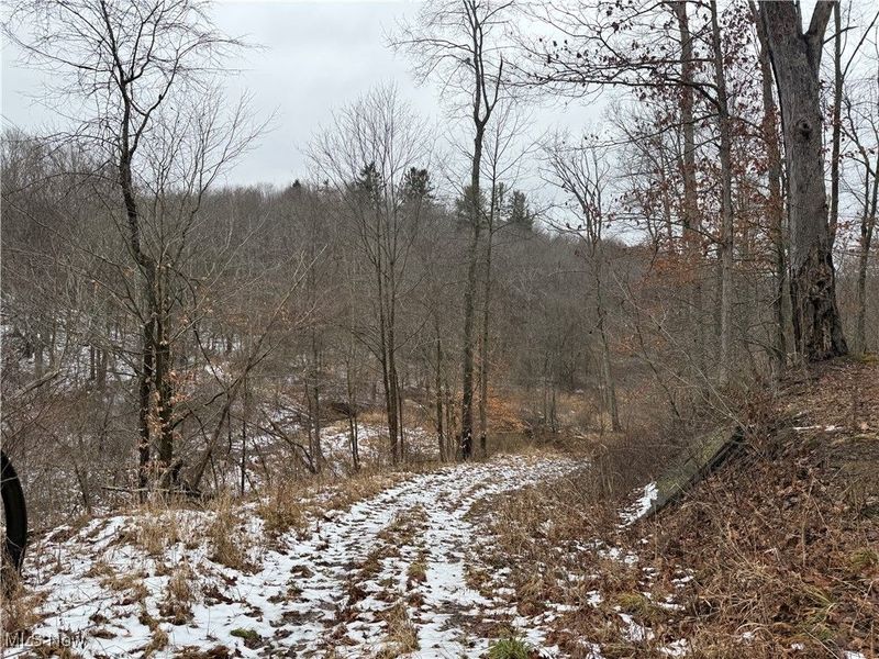 Greenbank Road, Lewisville, OH 43754 Photo 4