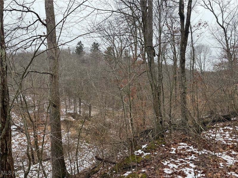 Greenbank Road, Lewisville, OH 43754 Photo 5