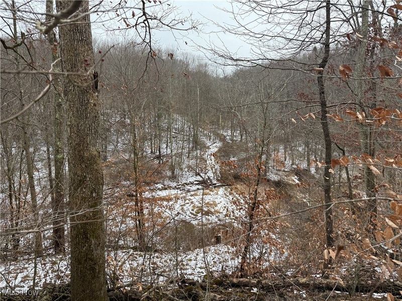 Greenbank Road, Lewisville, OH 43754 Photo 6