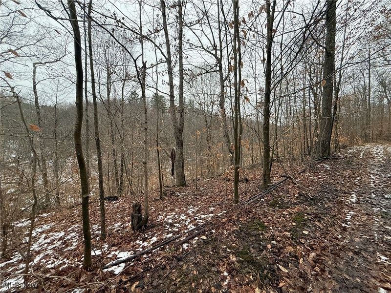 Greenbank Road, Lewisville, OH 43754 Photo 7