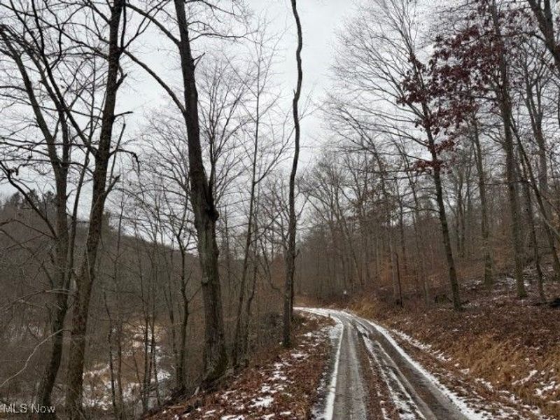 Rear Township Road, Lewisville, OH 43754 Photo 1