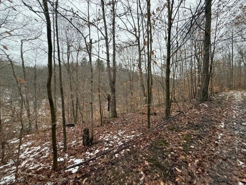 Rear Township Road, Lewisville, OH 43754 Photo 10