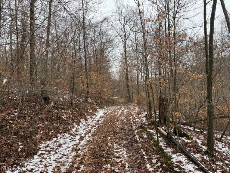 Rear Township Road, Lewisville, OH 43754 Photo 12