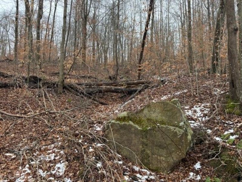 Rear Township Road, Lewisville, OH 43754 Photo 13