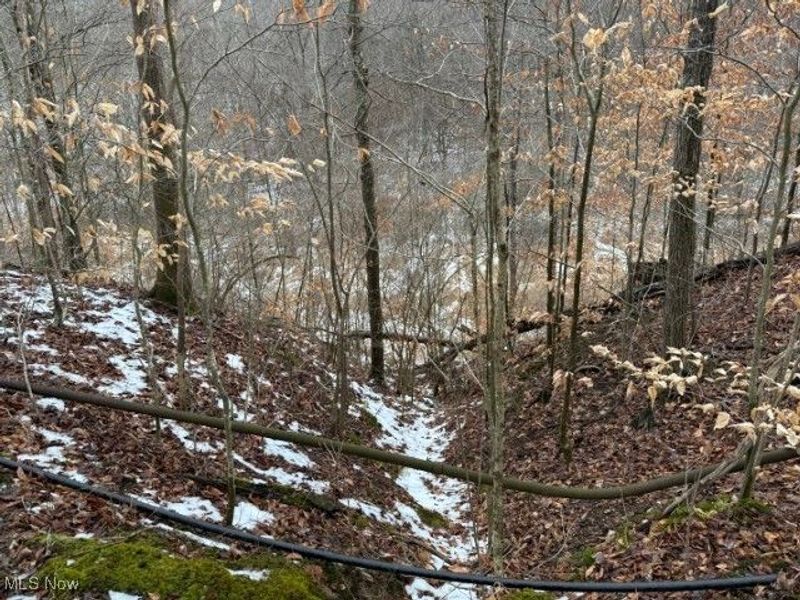 Rear Township Road, Lewisville, OH 43754 Photo 14