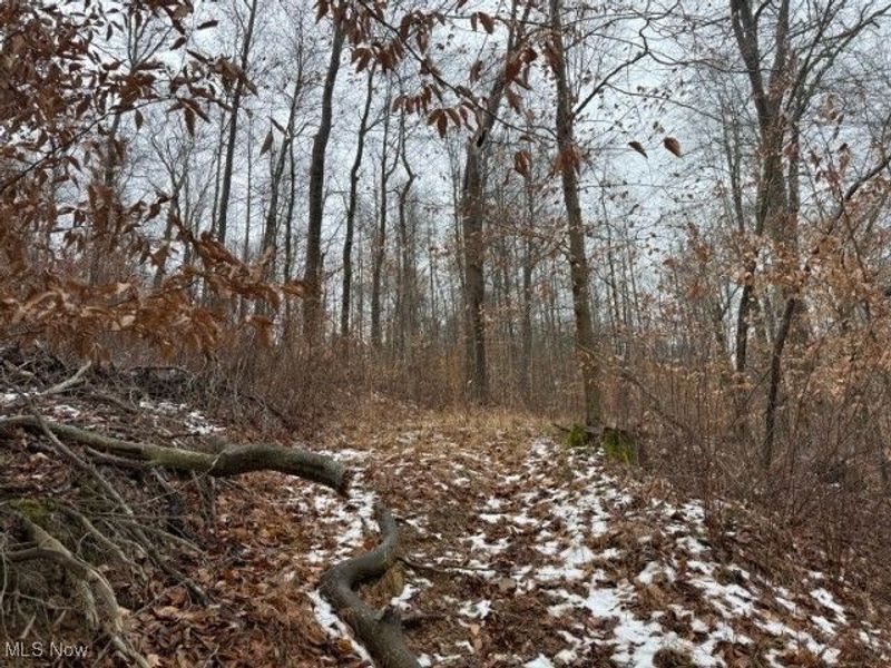 Rear Township Road, Lewisville, OH 43754 Photo 15