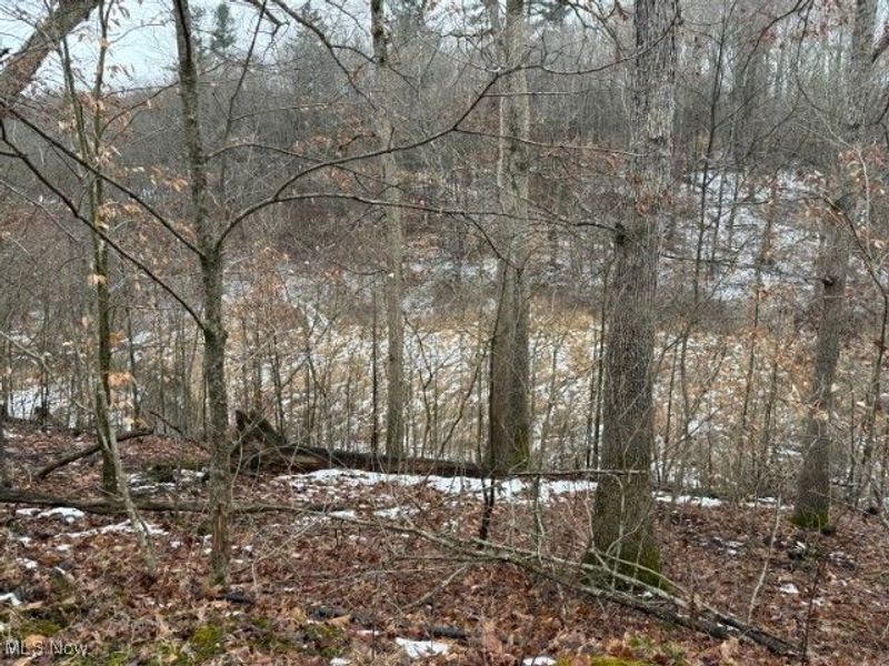 Rear Township Road, Lewisville, OH 43754 Photo 17