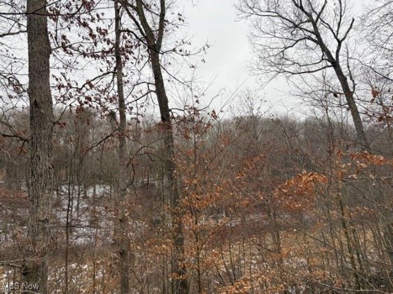 Rear Township Road, Lewisville, OH 43754 Photo 18